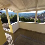 Ajka