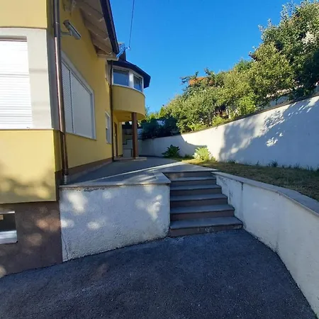 Ajka *